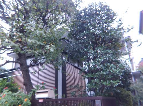 Local land photo. Local (11 May 2013) Shooting