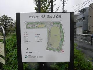 park. 1001m to Suginami Ward Momoi Harappa Park