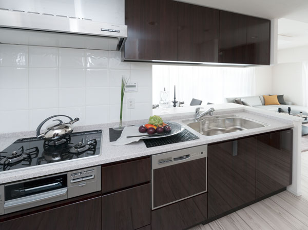 Interior. kitchen / Building in the model room Br type