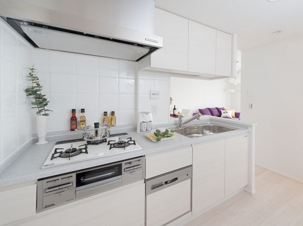 Interior. kitchen / F1 (menu2) type