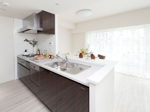 Interior. kitchen / B type