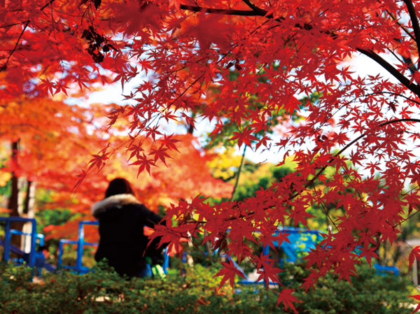 Surrounding environment. Suginami Children's traffic park (19 minutes walk ・ About 1480m)
