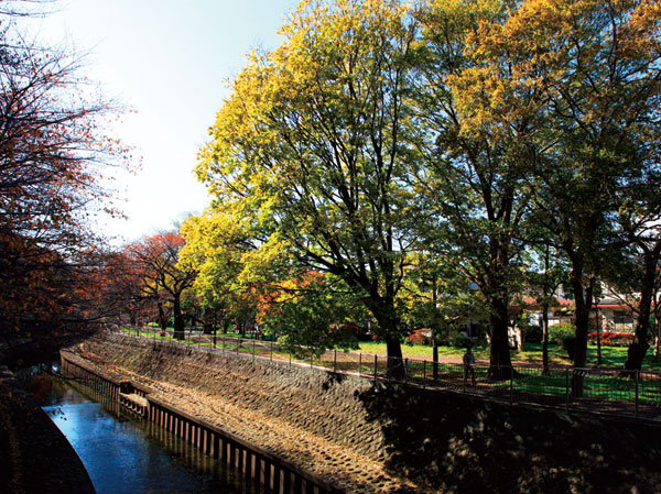 Surrounding environment. Zenpukuji River green space (a 15-minute walk ・ About 1180m)