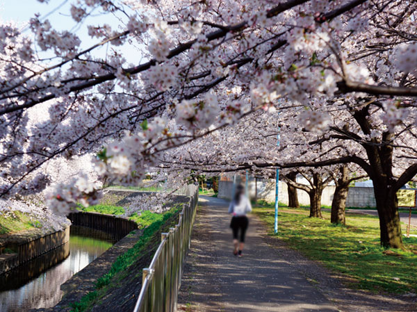 Surrounding environment. Zenpukuji River green space (a 15-minute walk ・ About 1180m)
