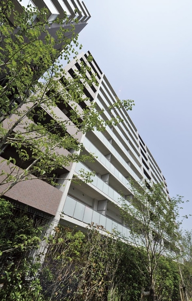  [Exterior (May 2013 shooting)] To obtain a location that spreads calm residential area seems to Suginami, I was born to open a land of two-way road.