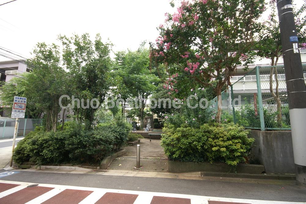 Other. Persimmon park