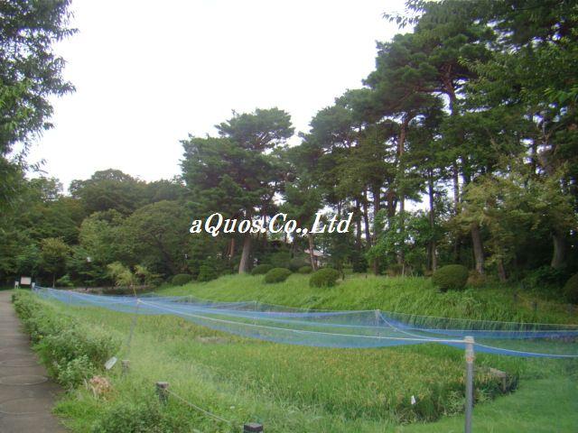 park. Municipal 630m to Kashiwa Palace park