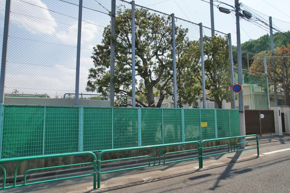 Junior high school. 568m to Suginami Ward Shinmei Junior High School