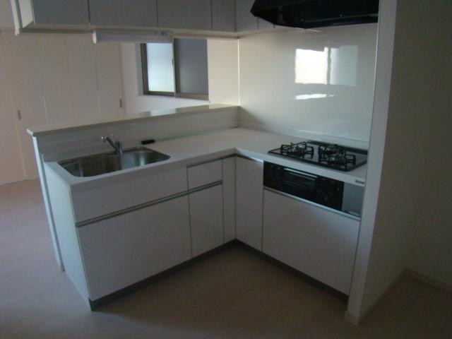 Kitchen. Indoor (11 May 2013) Shooting