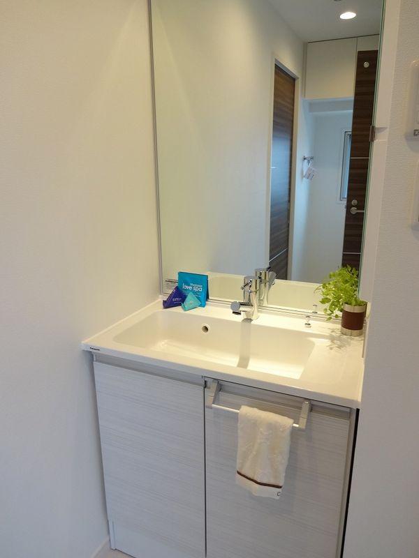 Wash basin, toilet. Bathroom vanity