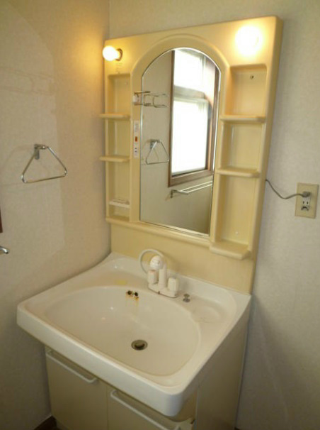 Other. Shampoo dresser, which is perfectly established a daily grooming