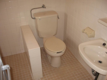 Toilet. ☆ Toilet, Western type ☆