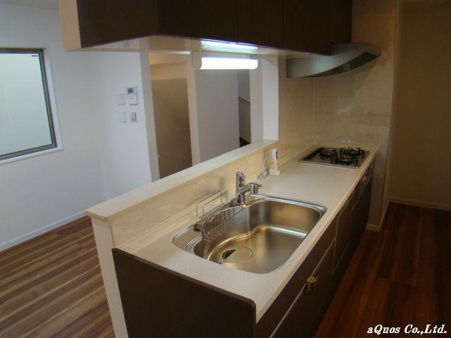 Kitchen. Indoor (12 May 2013) Shooting