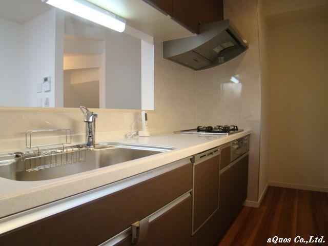 Kitchen. Indoor (12 May 2013) Shooting