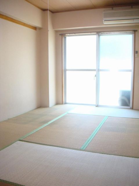 Living and room. Bright rooms