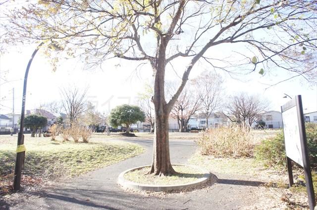 Other. Indoor (December 16, 2013) Shooting