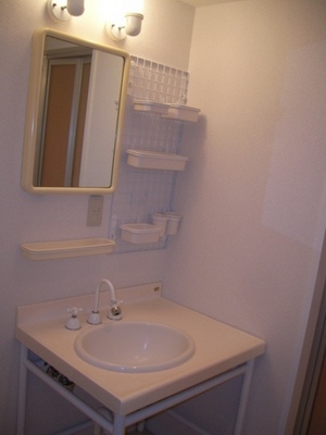 Washroom. Independent wash basin also housed plenty!