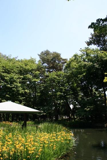 park. 970m until Tsukayama park