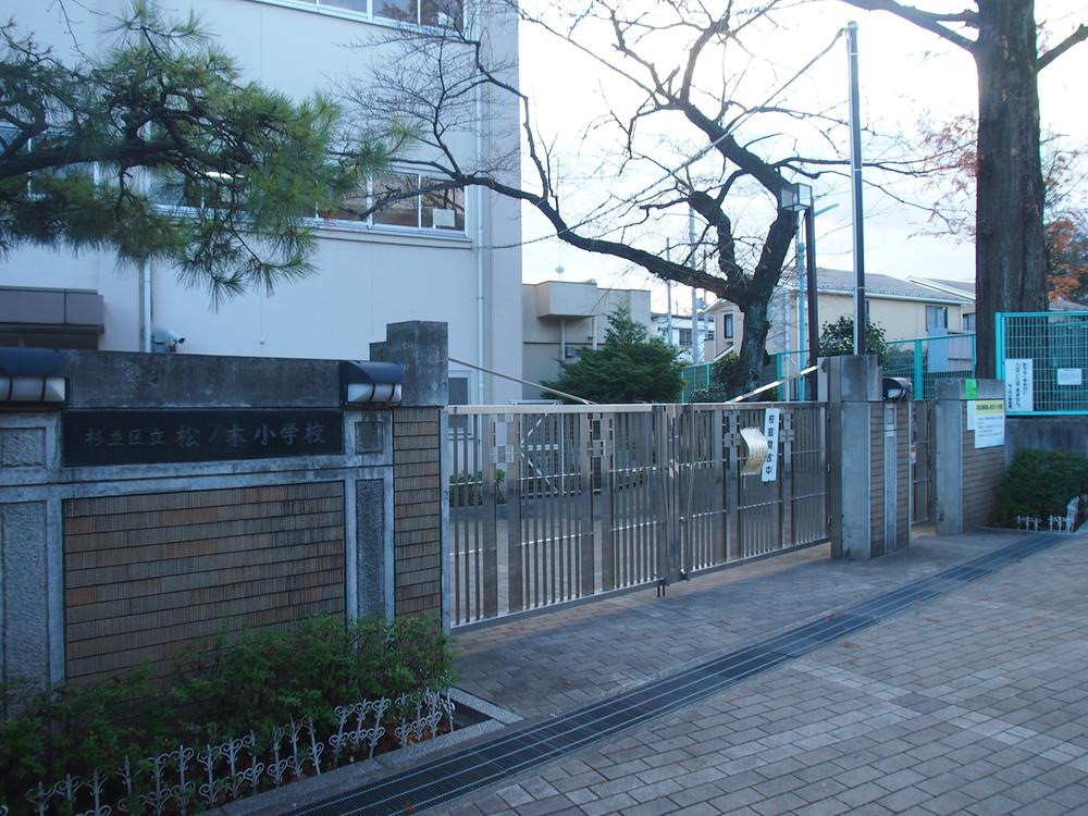 Primary school. Pine trees up to elementary school 160m