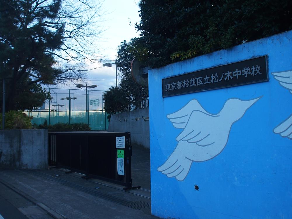 Junior high school. Pine trees 320m until junior high school