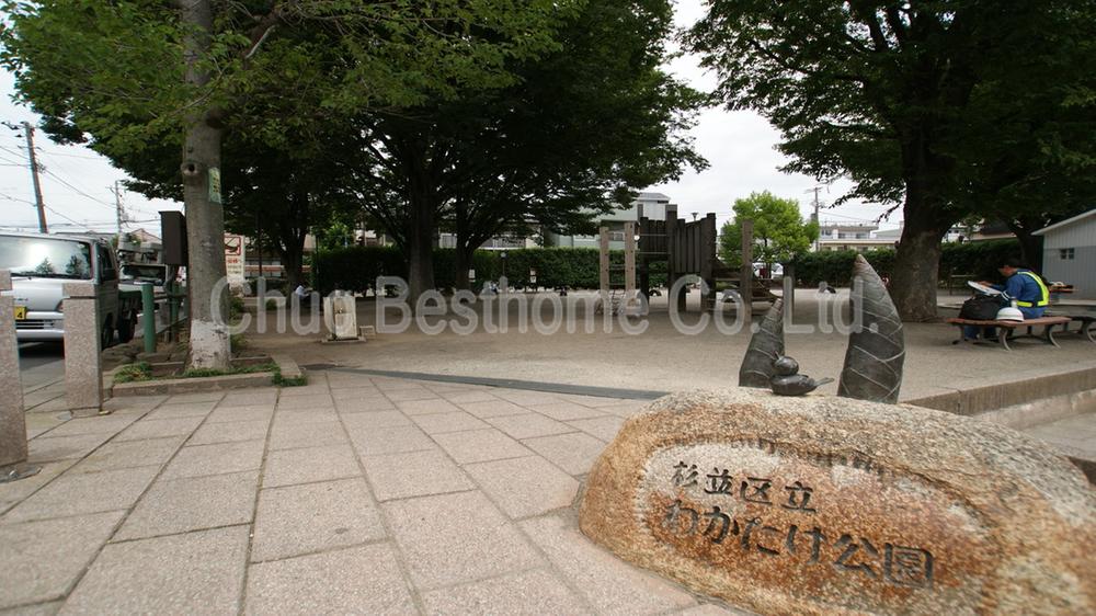 Other. Young bamboo park