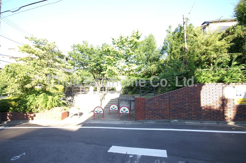 Other. Dandelion park