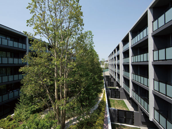 Shared facilities.  [Private Forest] Takagi, such as evergreen oak and cherry and azalea, The shrub a well-balanced arrangement such as andromeda "private forest". Landscape full of green of moisture that feels enrich nature, It produces the luxury of time that only those residents can enjoy. (May 2013 shooting)