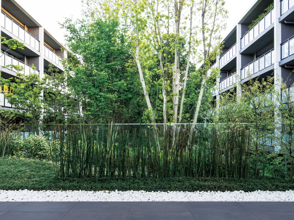 Site the center of the courtyard, "Private Forest" (May 2013 shooting)