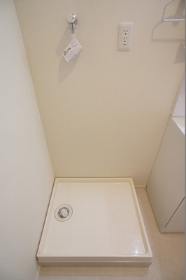 Other. You can wash with confidence in the washing machine inside the room rain! 