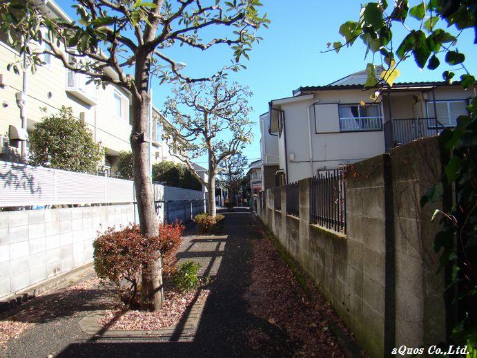 Local photos, including front road. Local (12 May 2013) Shooting