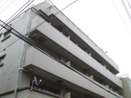 Local appearance photo. Mansion appearance