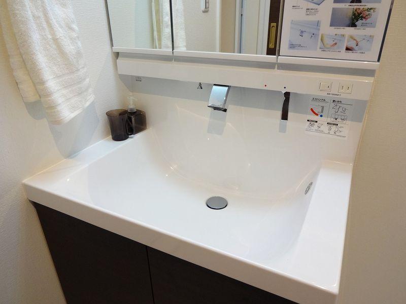 Wash basin, toilet. Bathroom vanity