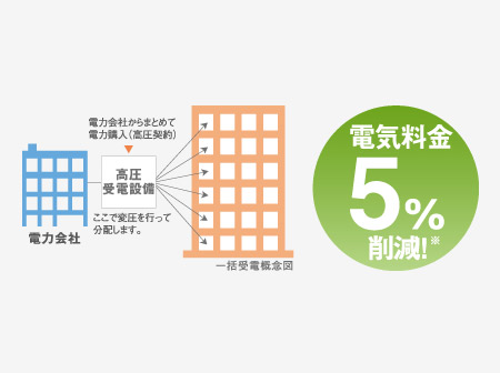 Other.  [Bulk receiving services] A high-voltage power that has been drawn into the apartment Haseko Anessis is contracted at once, Service is to supply electricity to every household. The monthly electric bill of a customer 5% discount. (Conceptual diagram) ※ It will be discounted from the metered electric light contract fee of TEPCO.  ■ No service 9,591 yen / Month,  ■ Service there is 9,111 yen / Month  ※ Than the above-mentioned amount of money the Ministry of Internal Affairs and Communications household survey report FY 2011 preliminary results, It quotes from two or more household electrical Daitsuki average amount.