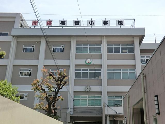 Other. Umewaka about up to elementary school 440m