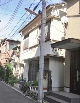 Local land photo. appearance