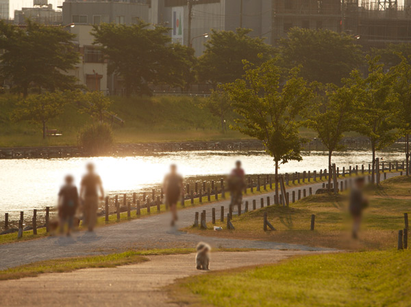 Surrounding environment. Old Nakagawa waterfront park (about 660m ・ A 9-minute walk)