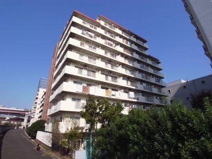 Local appearance photo. appearance