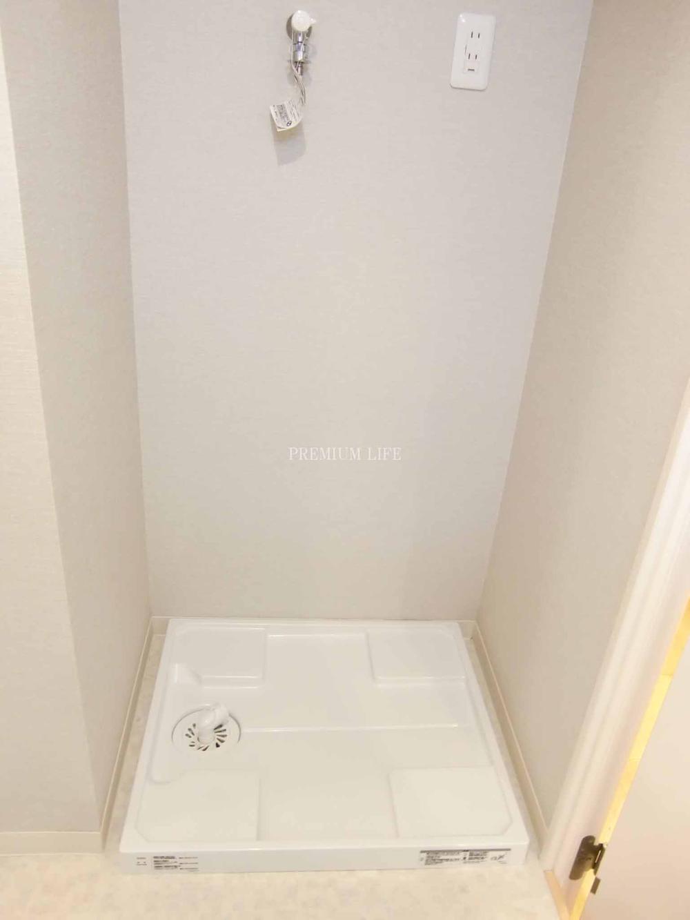 Wash basin, toilet. Laundry Area