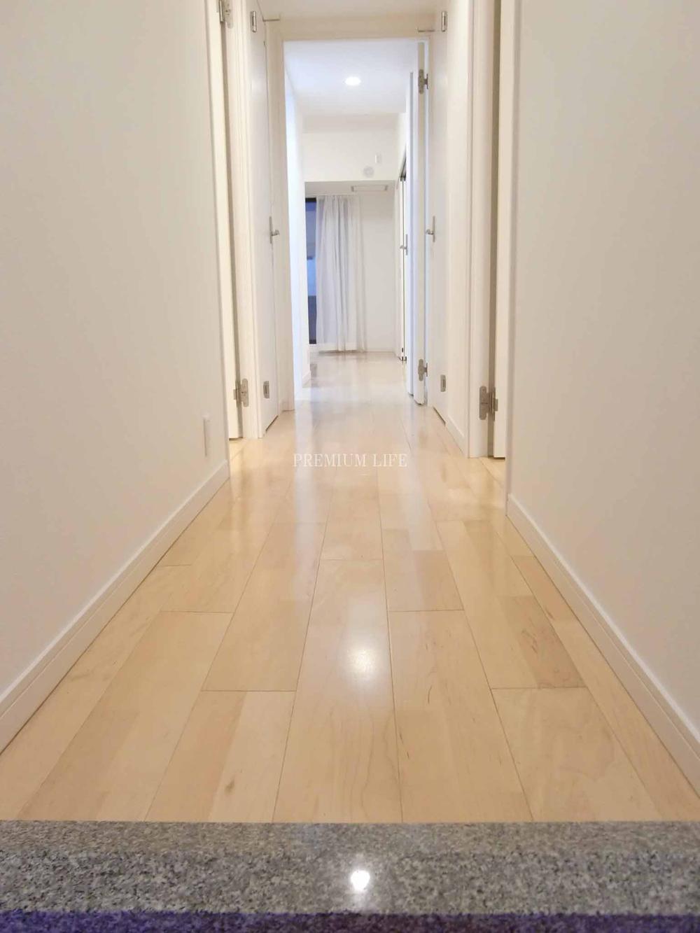 Other introspection. Corridor leading to the living room