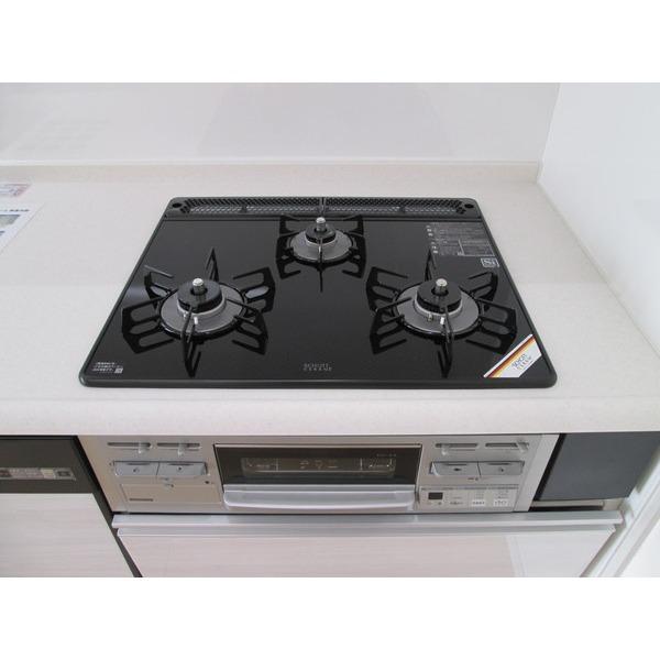 Kitchen. Stove burner