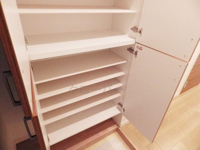 Entrance. Footwear purse