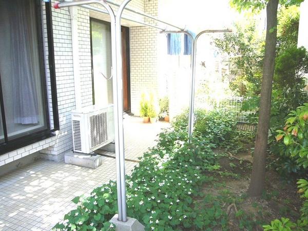 Garden. Gardening can enjoy spacious garden!