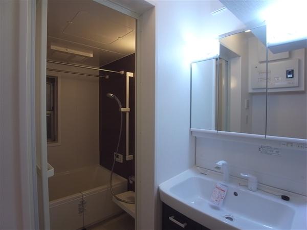 Other introspection. Interior 2013 / 12 shooting