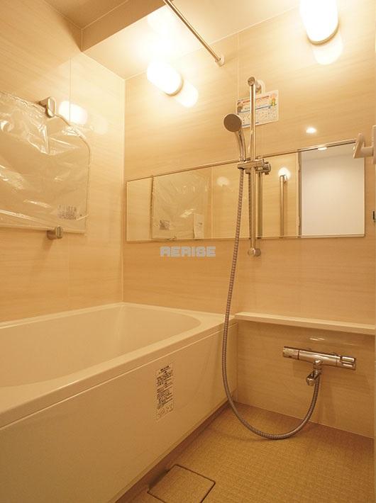 Bathroom. Bathroom Dryer, With reheating function