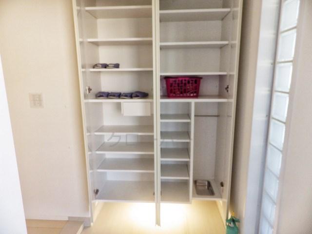 Entrance. Footwear purse