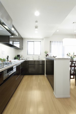 Kitchen (Model Room A20 type)