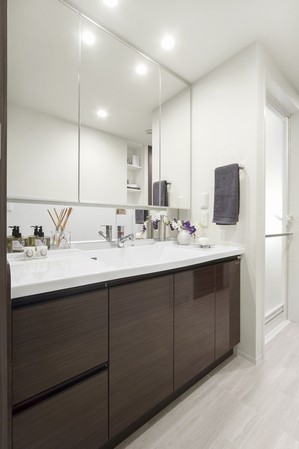 Wash room (Model Room A20 type)