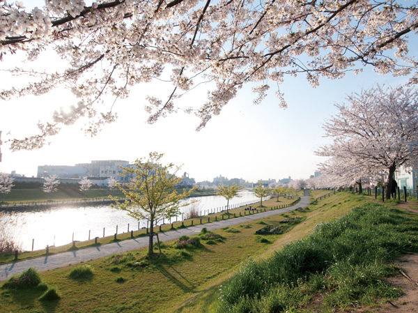 Surrounding environment. Old Nakagawa waterfront park (about 150m / A 2-minute walk)