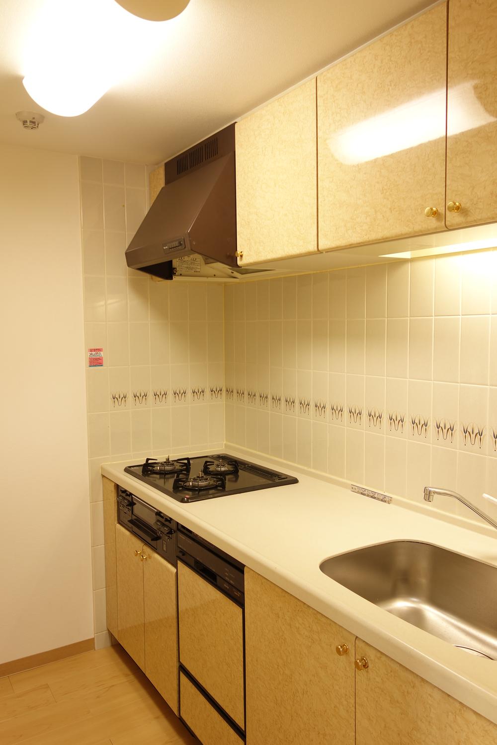 Kitchen. Indoor (March 2013) Shooting