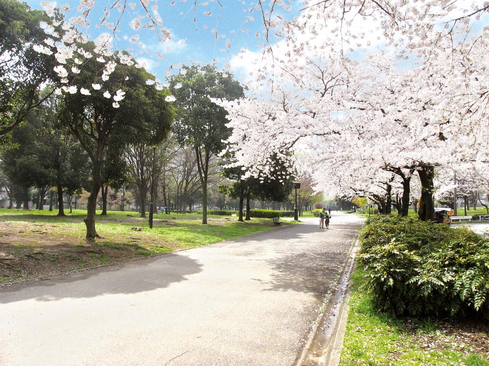 park. 1240m to the east, Shirahige park